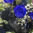 Ramo de Rosas Azul