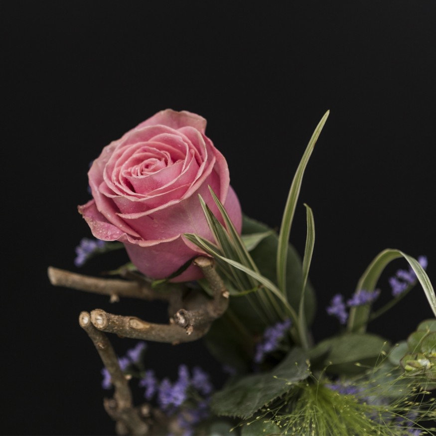 Rosa Individual Rosa Claro