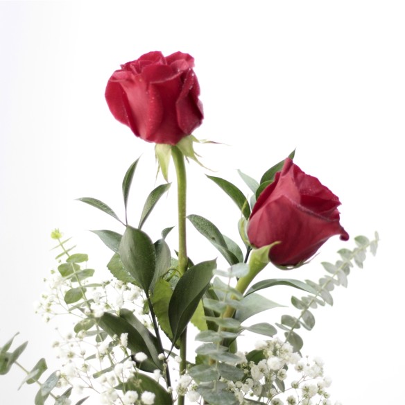 Dos rosas rojas Tú y yo