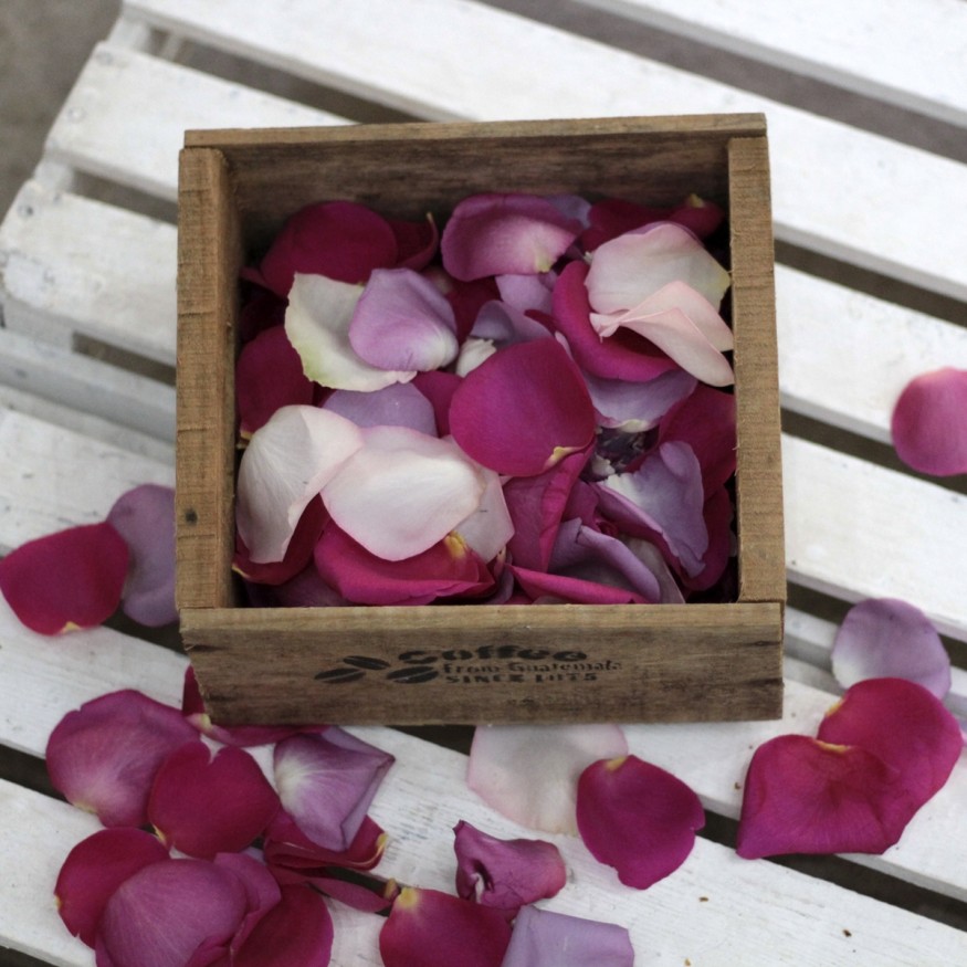 Saco de Pétalos Rosas