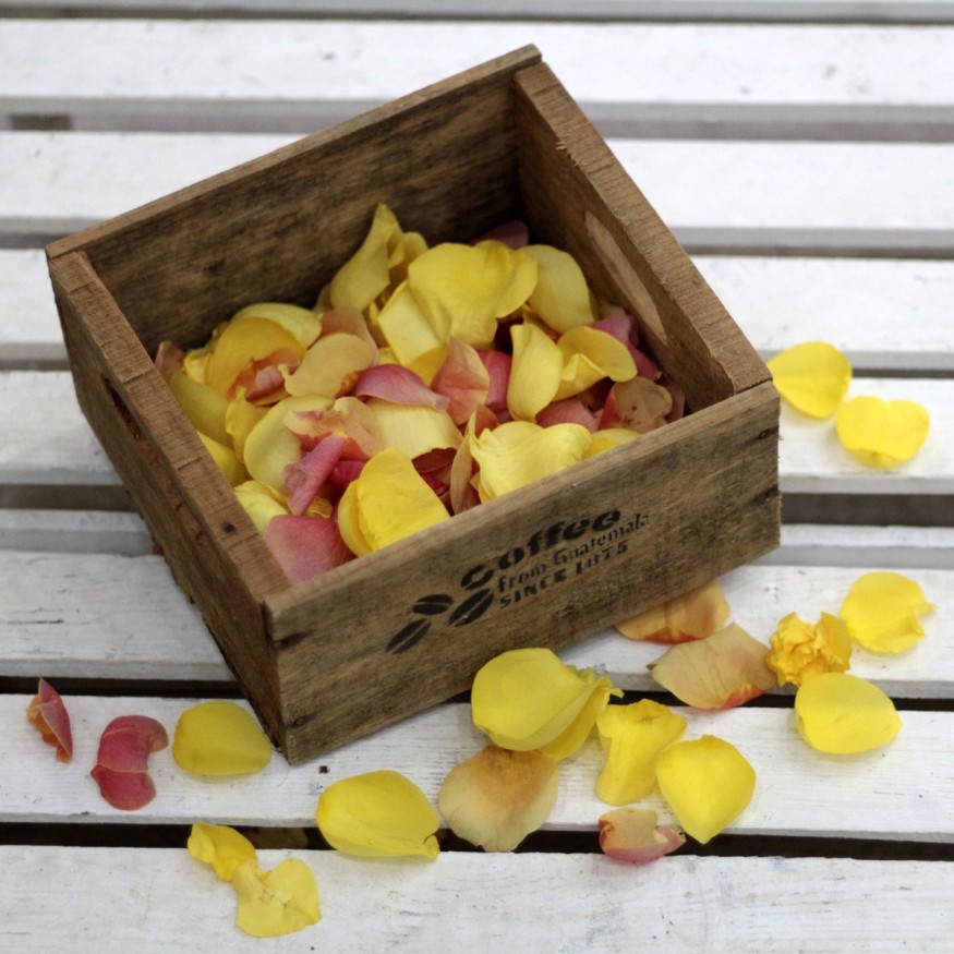 Saco de Pétalos Rosas