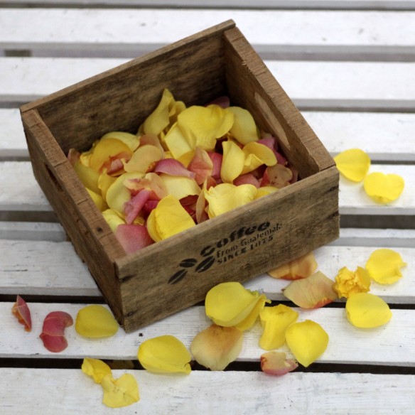 Saco de Pétalos Rosas
