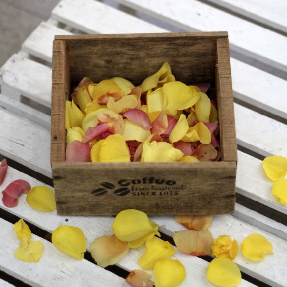 Saco de Pétalos Rosas