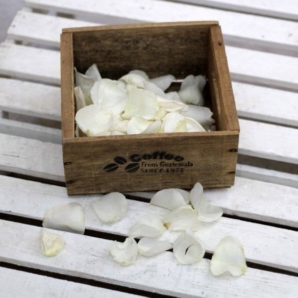 Saco de Pétalos Rosas