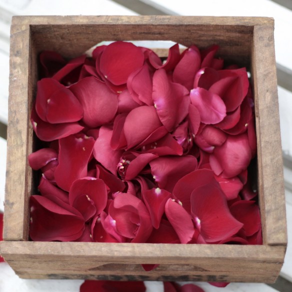 Saco de Pétalos Rojos