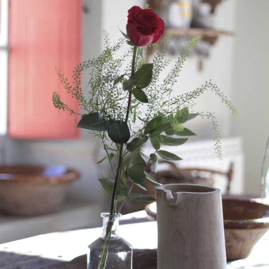 Rosa Individual Roja
