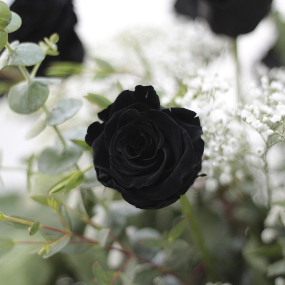 Ramo de Rosas Preservadas Negro
