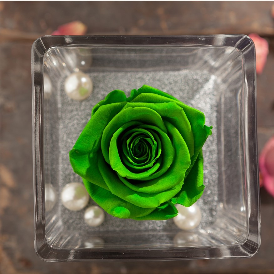 Perla Verde Esperanza