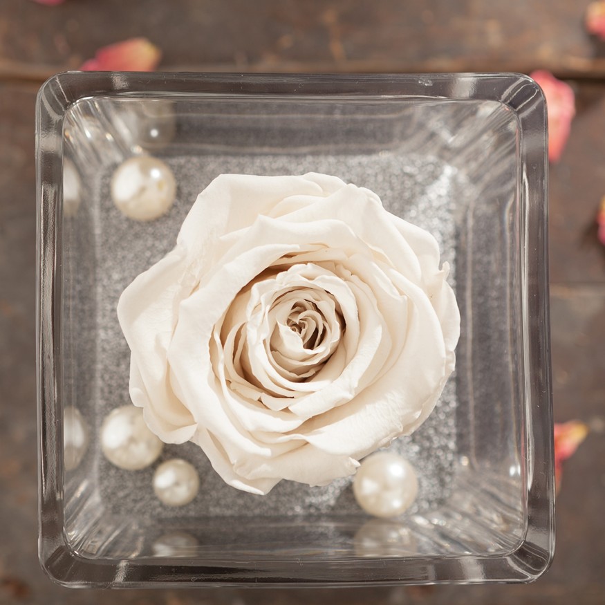 Perla Blanca Pureza