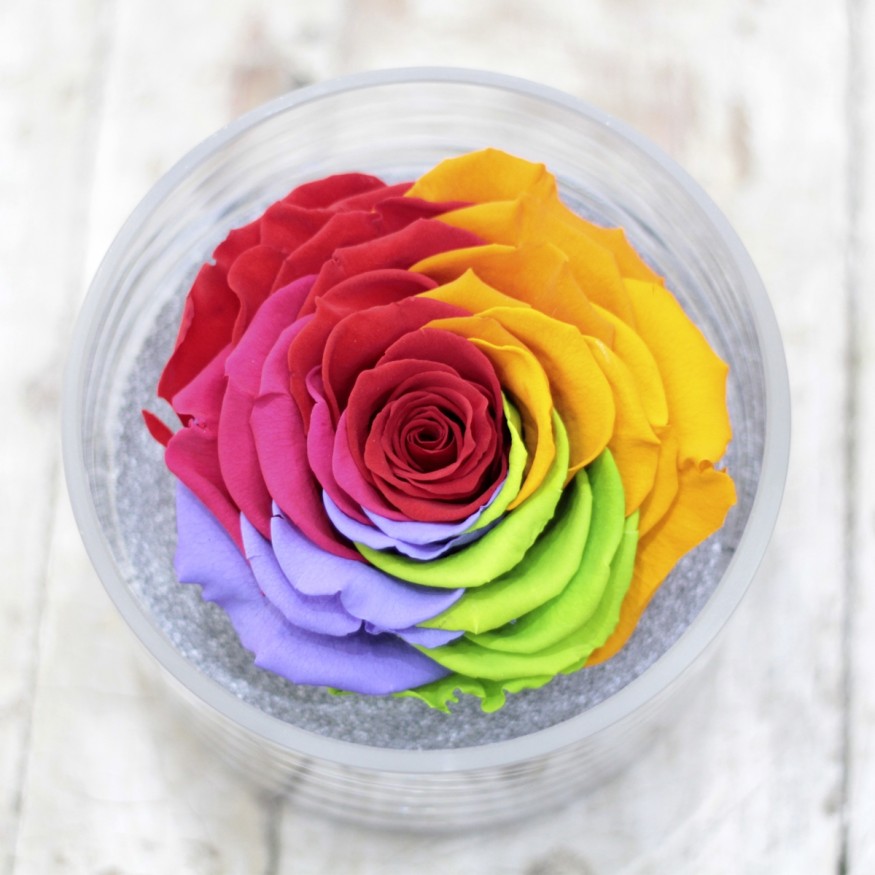 Perla Arcoiris XXL