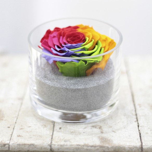 Perla Arcoiris XXL