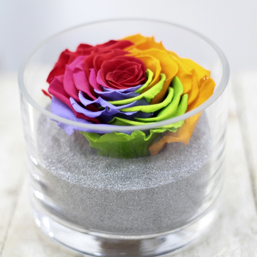 Perla Arcoiris XXL