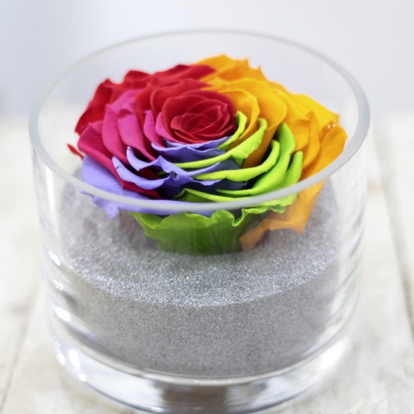 Perla Arcoiris XXL