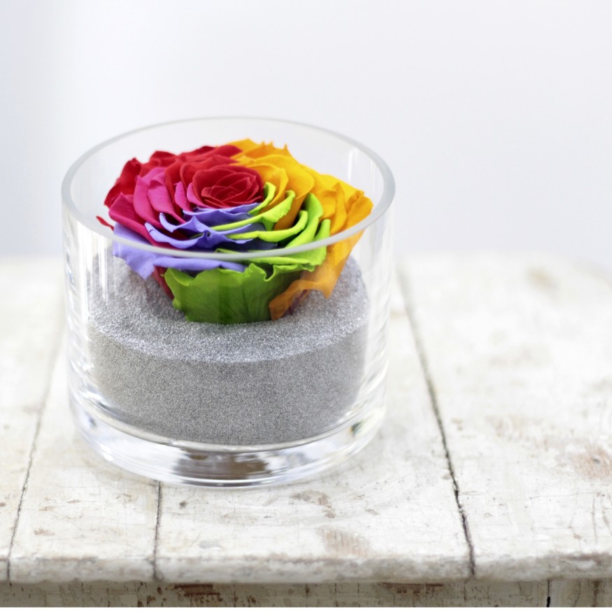 Perla Arcoiris XXL