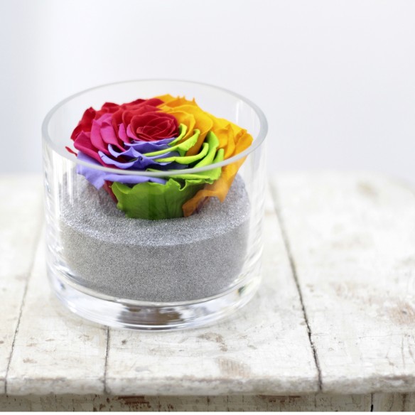 Perla Arcoiris XXL