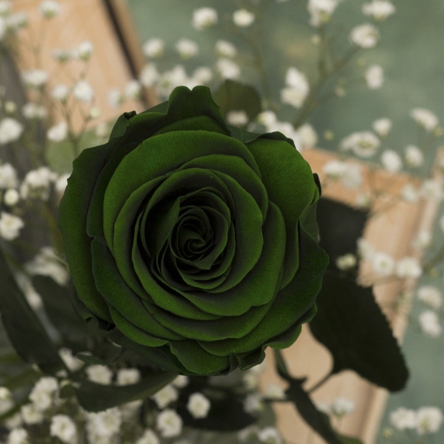 Rosa Individual Verde Money