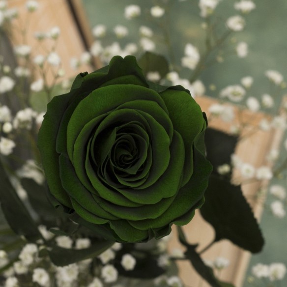 Rosa Individual Verde Money