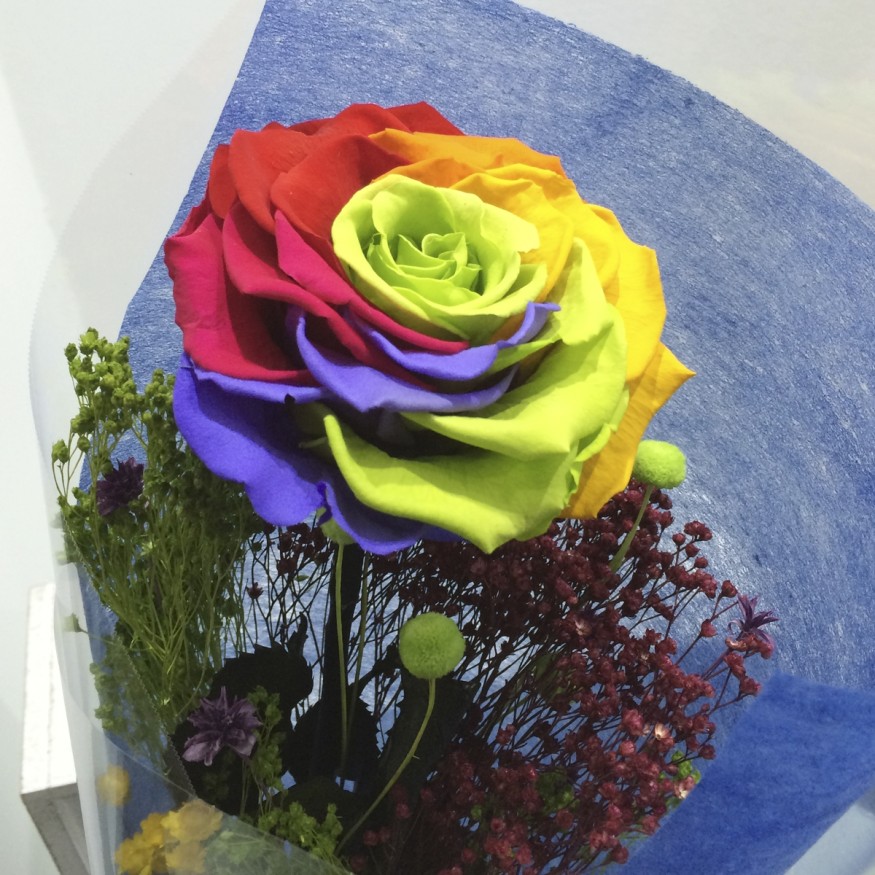 Rosa Individual Arcoiris Preservada XXL