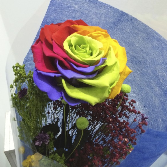 Rosa Individual Arcoiris Preservada XXL