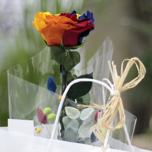 Rosa Individual Arcoiris Preservada XXL
