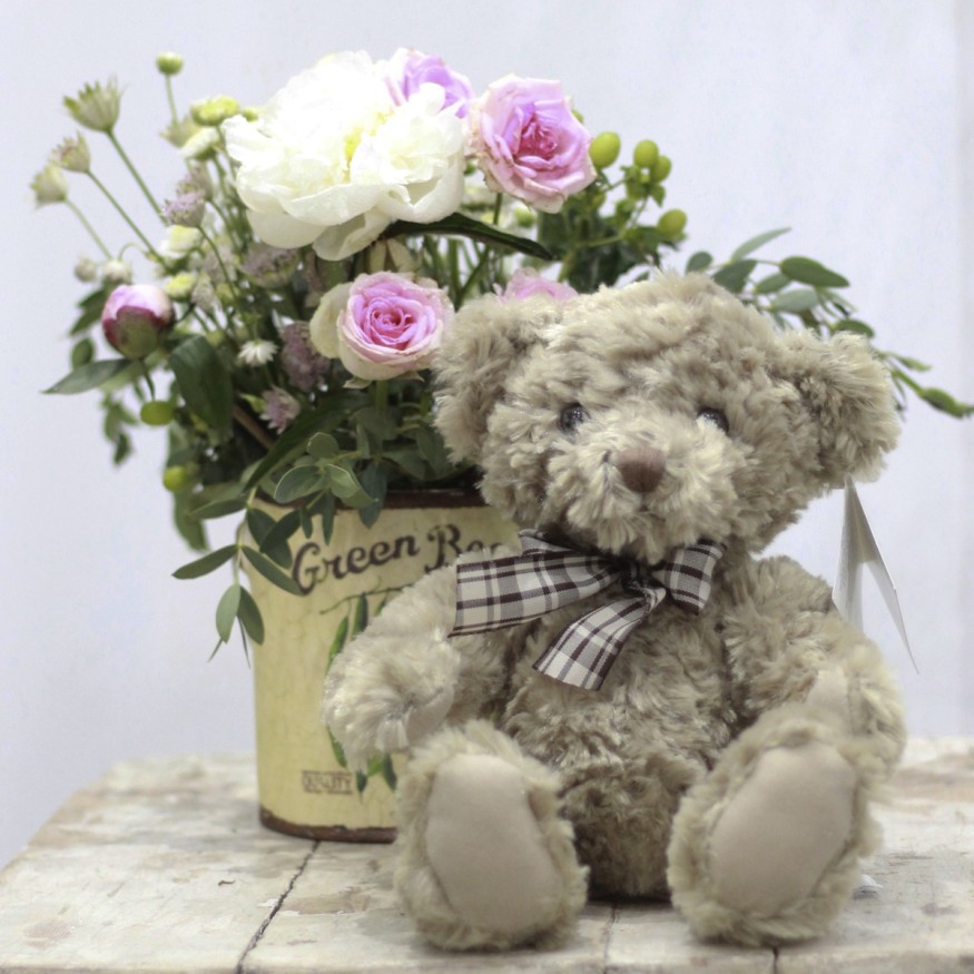 Osito Teddy Grey