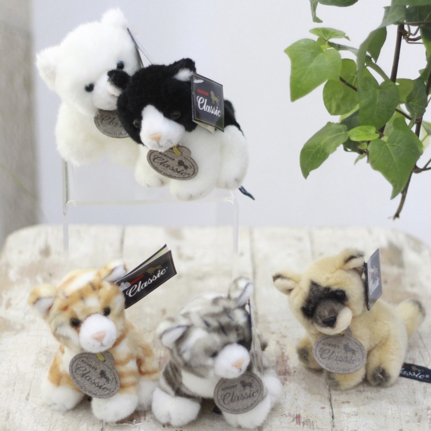Mascota Puppy Cat
