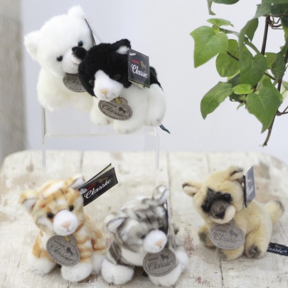 Mascota Puppy Cat