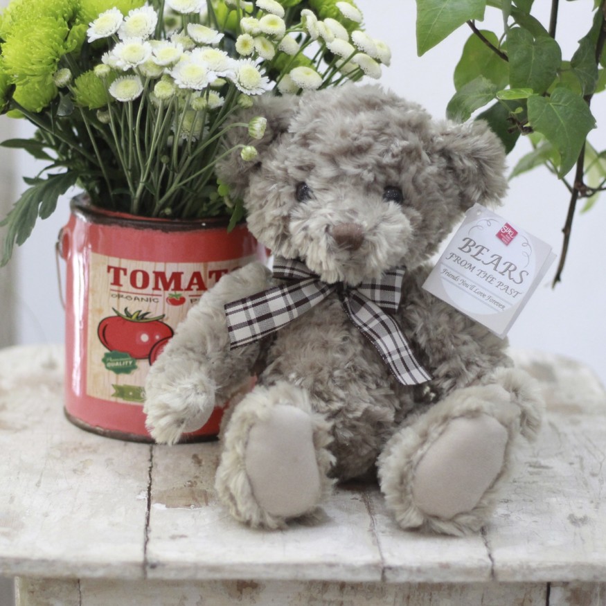 Osito Teddy Grey