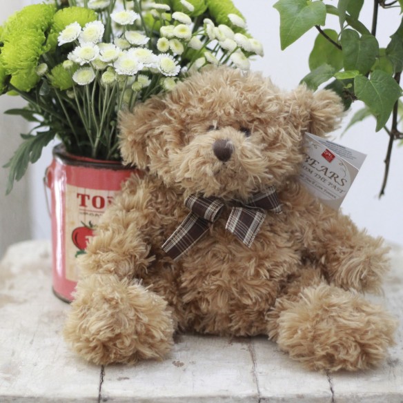 Osito Teddy Coffee