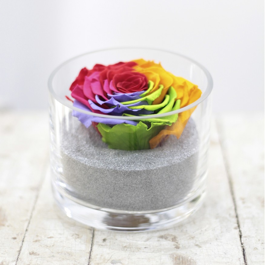 Perla Arcoiris XXL