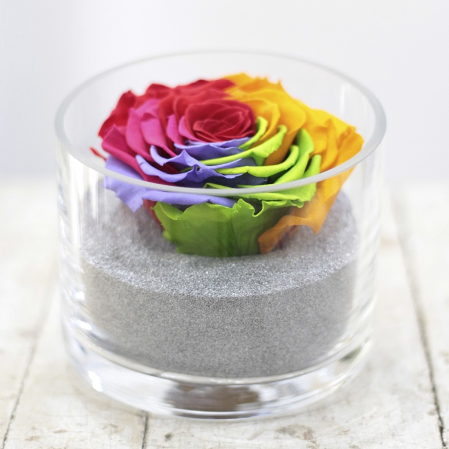 Perla Arcoiris XXL
