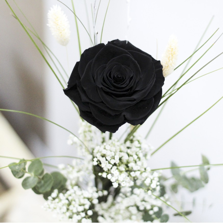 Rosa Individual Negro Puro XXL