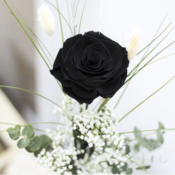 Rosa Individual Negro Puro XXL