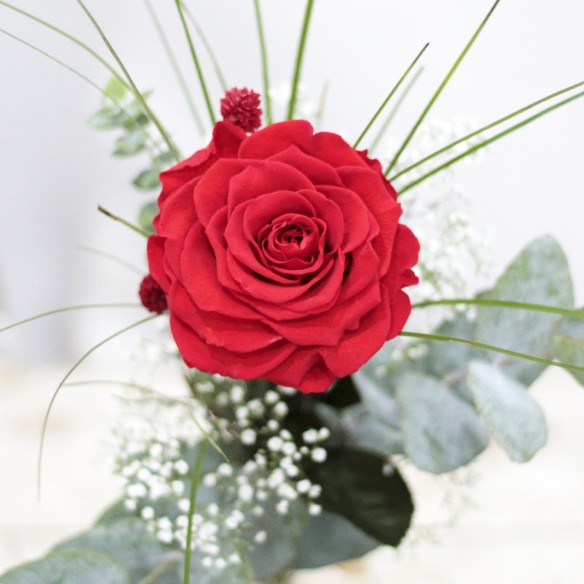Rosa Individual Rojo Pasión XXL