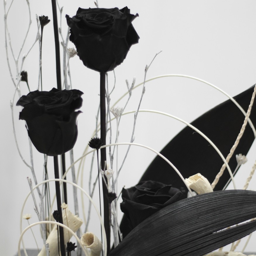 Black Paradise
