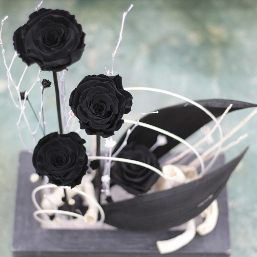 Black Paradise