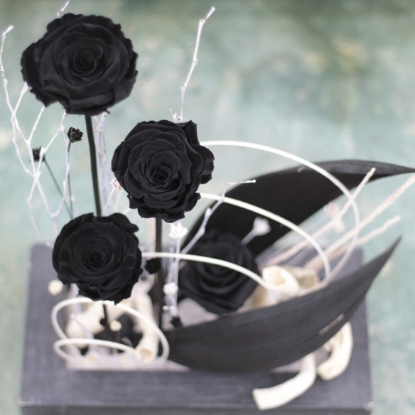 Black Paradise