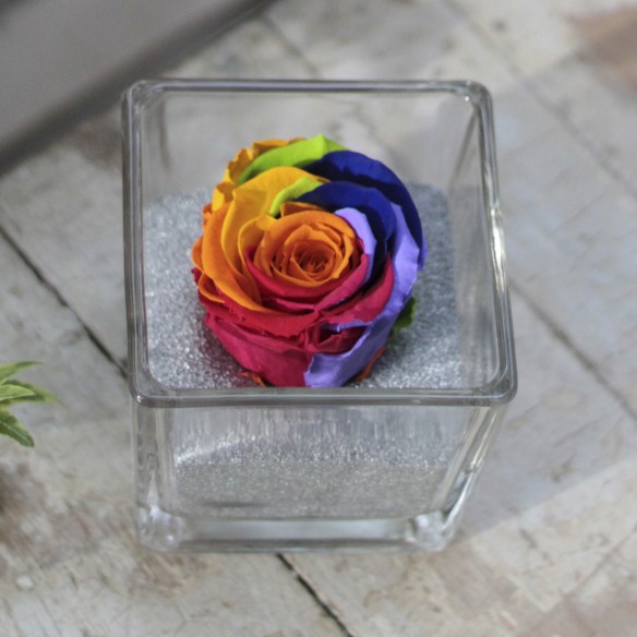 Perla Arcoiris XL