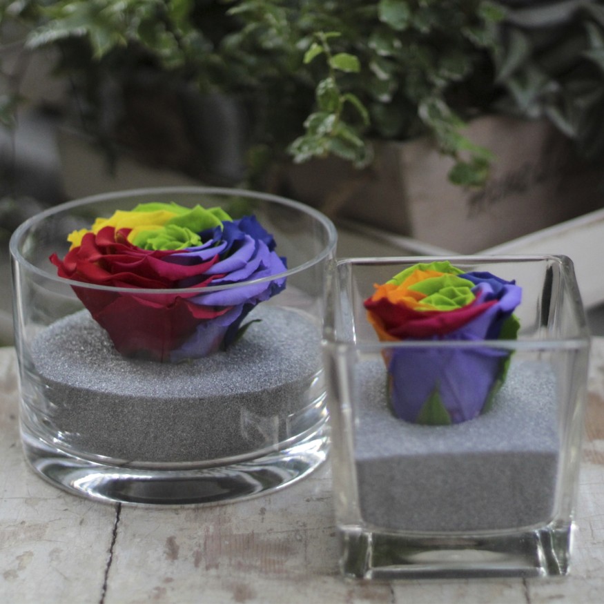 Perla Arcoiris XXL