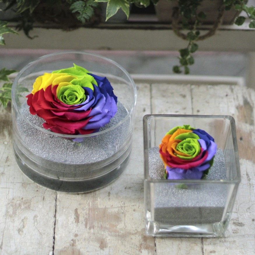 Perla Arcoiris XXL