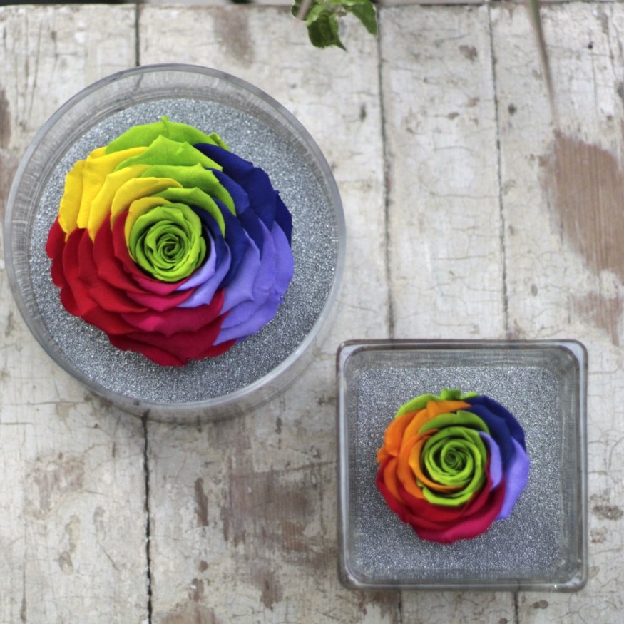 Perla Arcoiris XXL