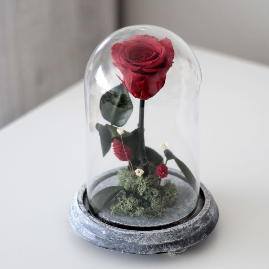 Rosa Joya Red (Bella y Bestia)