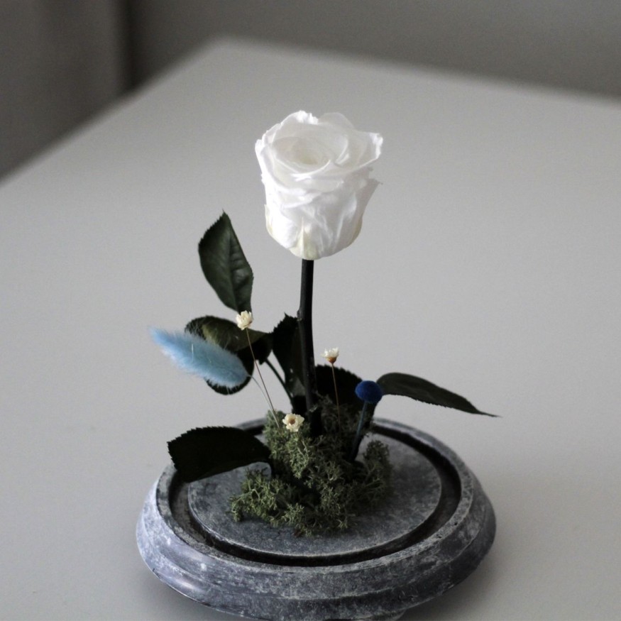 Rosa Joya Snow (Bella y Bestia)