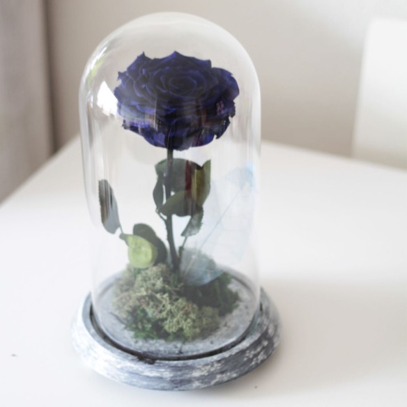 Rosa Joya Blue (Bella y Bestia)
