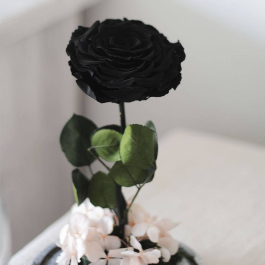 Rosa Joya Black (Bella y Bestia)