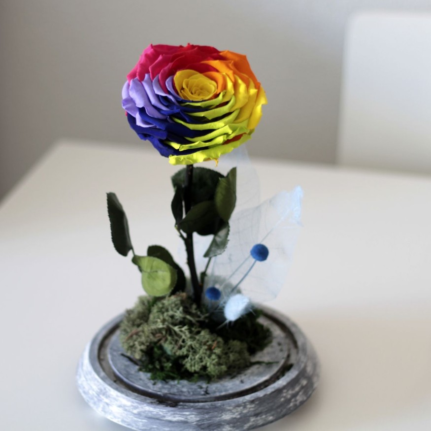 Rosa Joya Rainbow (Bella y Bestia)