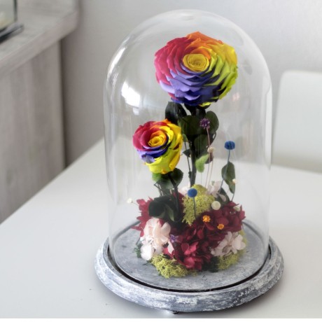 Rosa Joya Rainbow (Bella y Bestia)