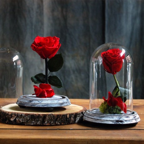 Rosa Joya Red (Bella y Bestia)