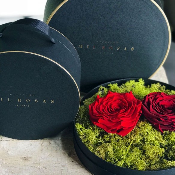 Caja Tresor de Rosas Preservadas