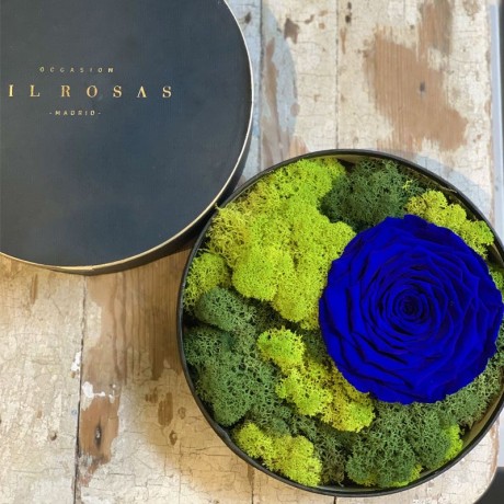 Cofre Tresor de Rosas Preservadas Azules